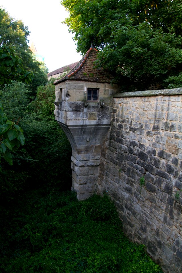 IMG 9636
