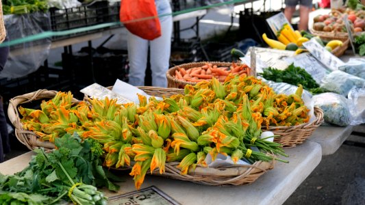 Flor de Calabaza