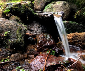 Secret spring in the woods