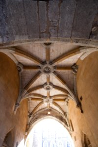 IMG 8952