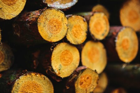Nature fire brown fire