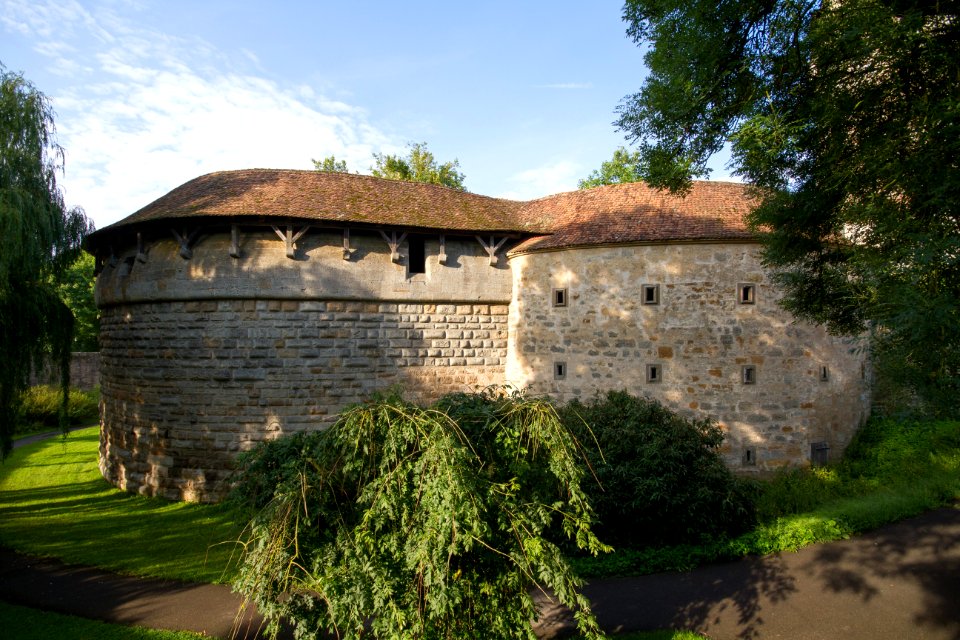IMG 9781