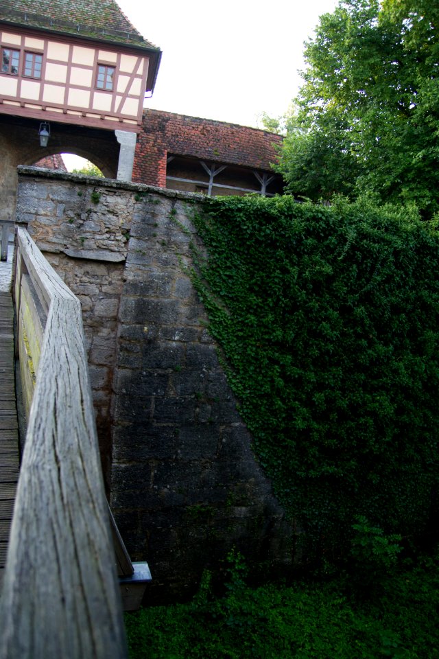IMG 9635