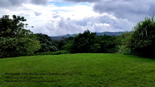 Monteverde view with copyright