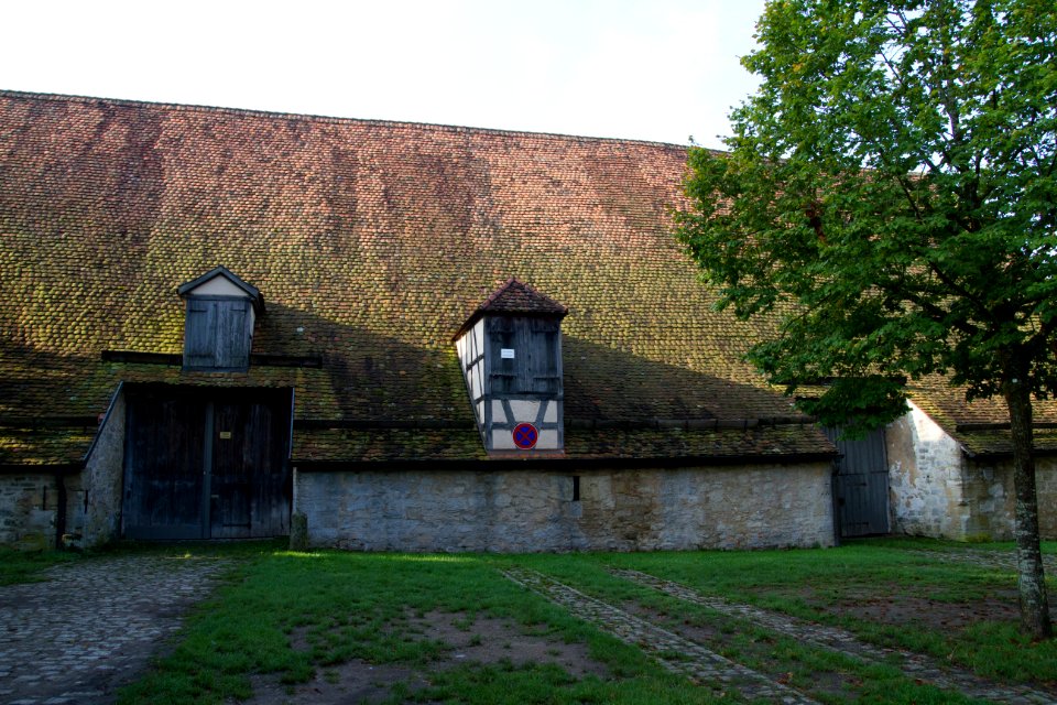 IMG 9734