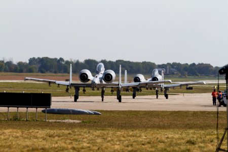 release the warthogs