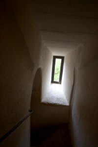 IMG 9942