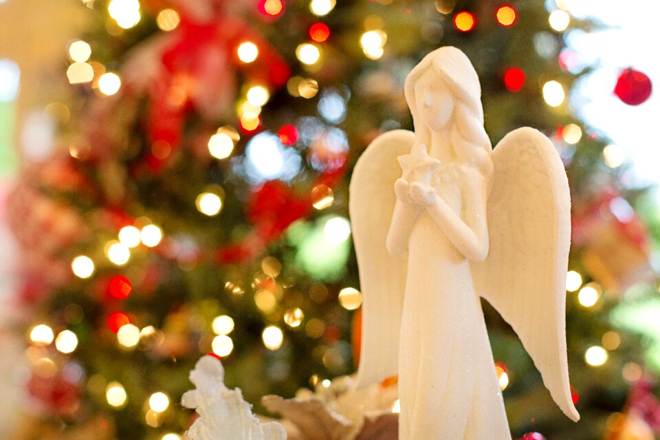 Holiday xmas decoration