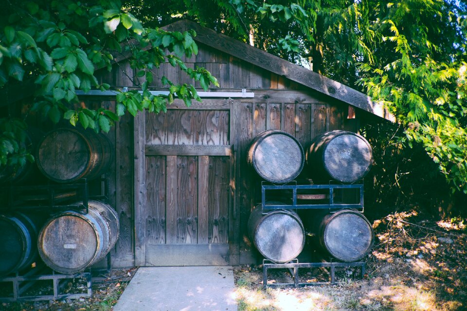 Wooden planks boards