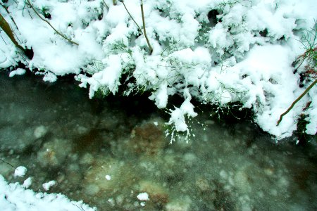 Winter in helsinki-11.jpg photo