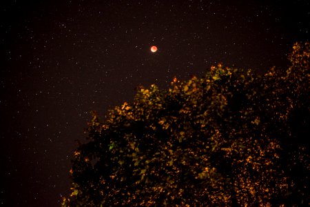 Blood moon