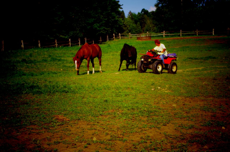 Chevaux Centre MAestro - 34
