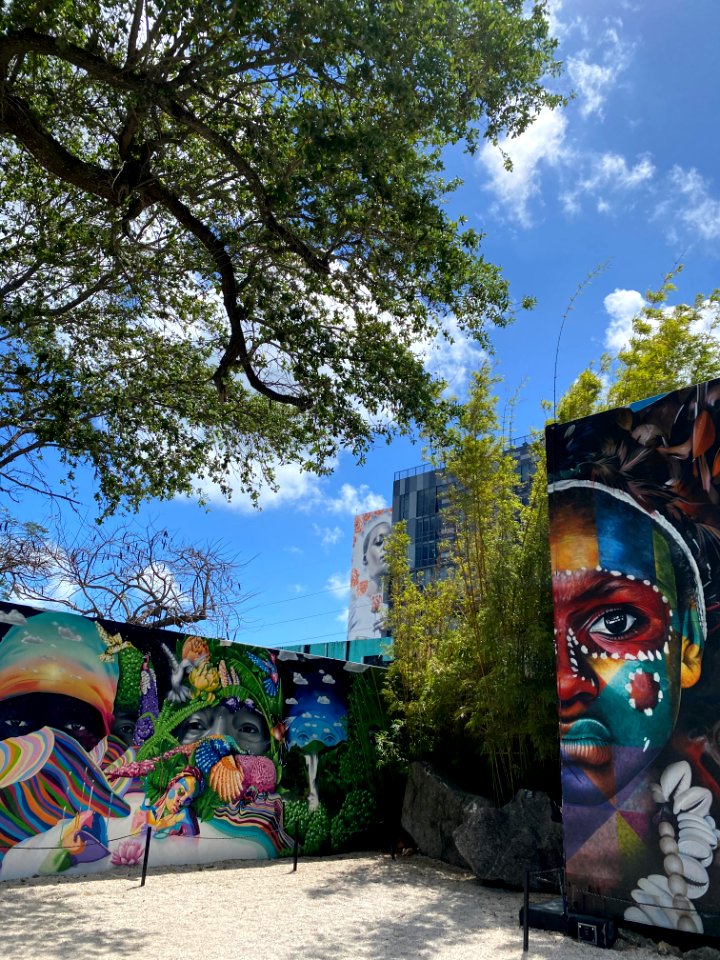 Wynnewood Art District, Miami 3/2021