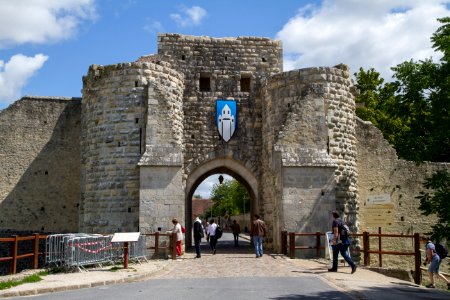 IMG 0494
