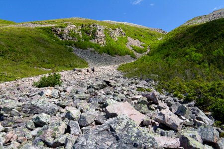 Gros Morne gully up