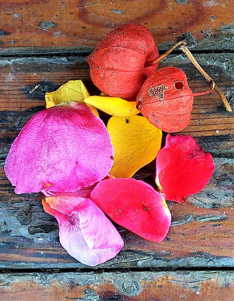 Autumn still life: bright, natural and slightly vintage