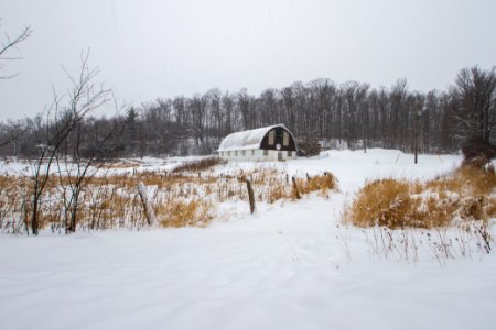 forgot my snowshoes