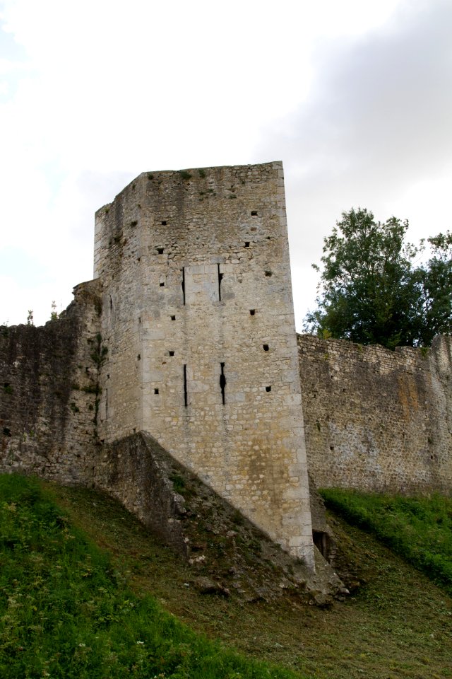 IMG 0661