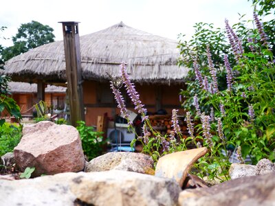 Nature thatch roofed hose travel