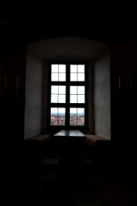 IMG 9928