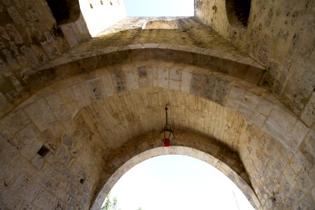 IMG 0501