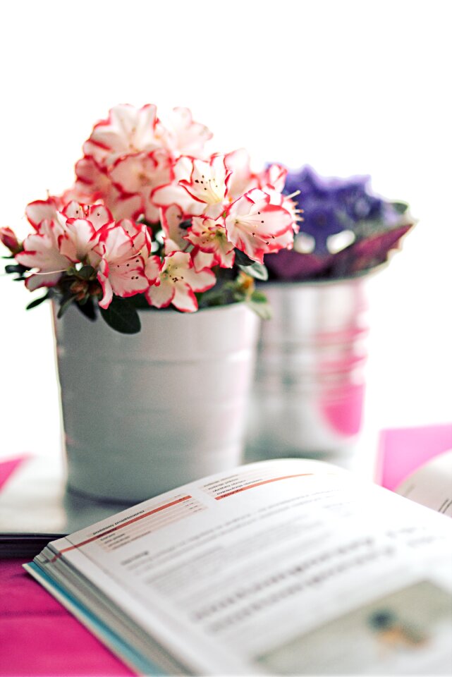 Book flower houseplants