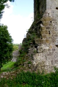 IMG 0664