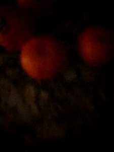 Oranges On The Counter: Nighttime Snack