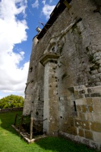 IMG 0548