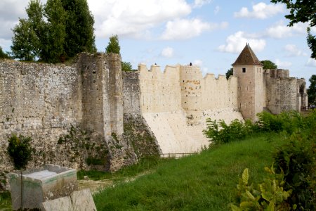 IMG 0708