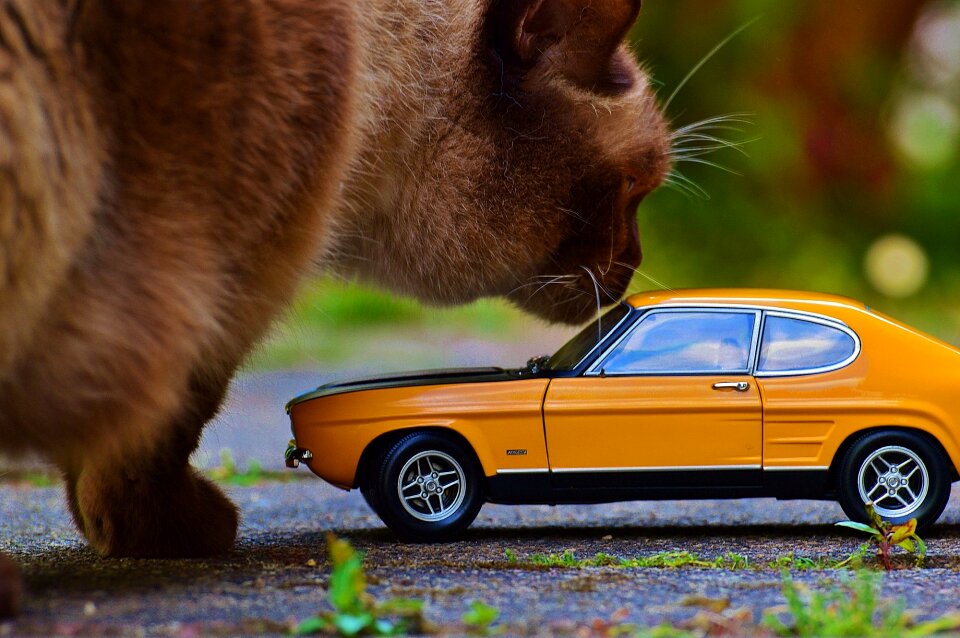 Capri ford model car