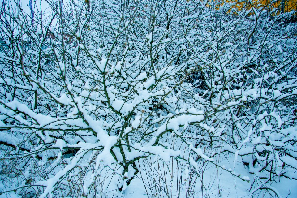 Winter in helsinki-6.jpg