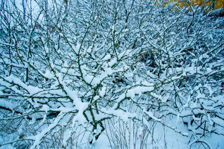 Winter in helsinki-6.jpg photo
