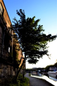 DSC 0263