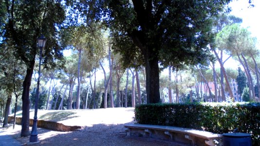 DSC05808