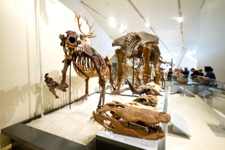 IMG 8499