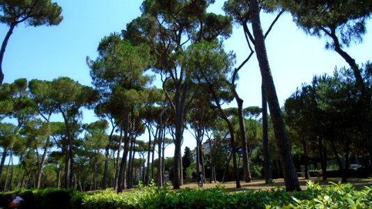 DSC05800