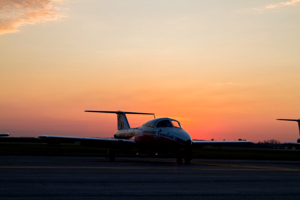 snowbird at sunrise