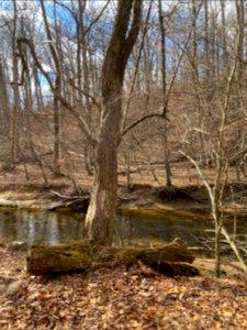 Lake Frank, Rockville MD