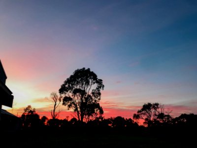 Gippsland Sunrise, June 19 2020