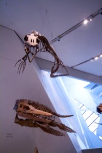 IMG 8505