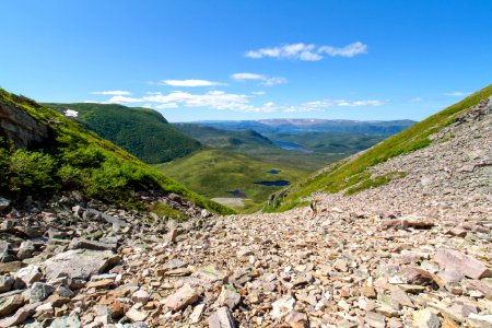 Gros Morne gully down