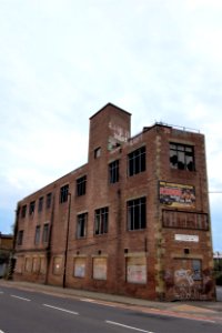 DSC 06571