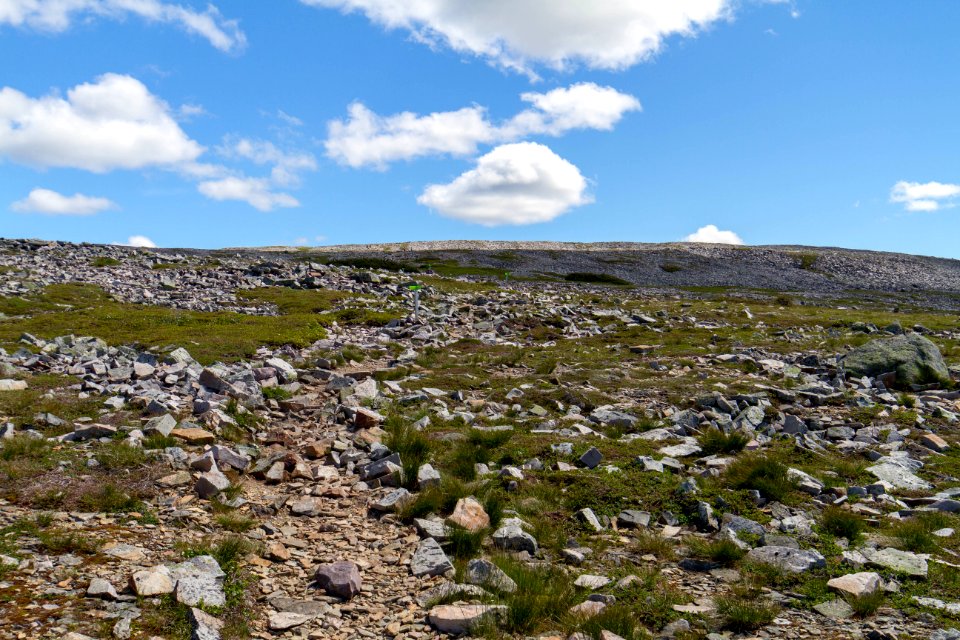Gros Morne Summit
