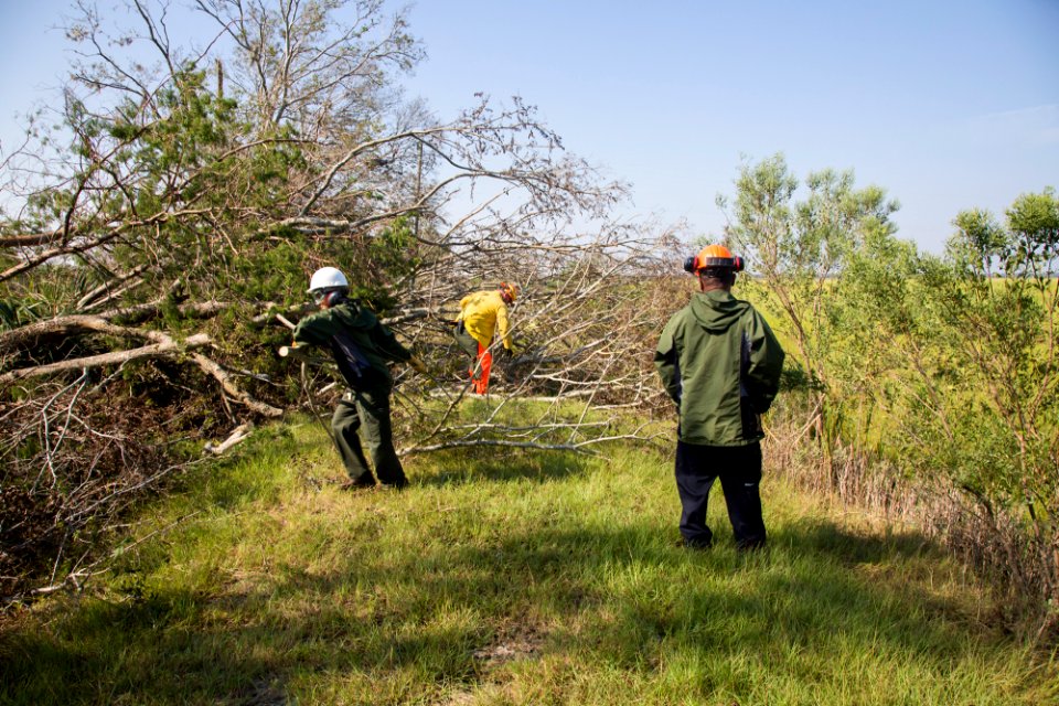 091617 Fort Pulaski Recovery Trails 061