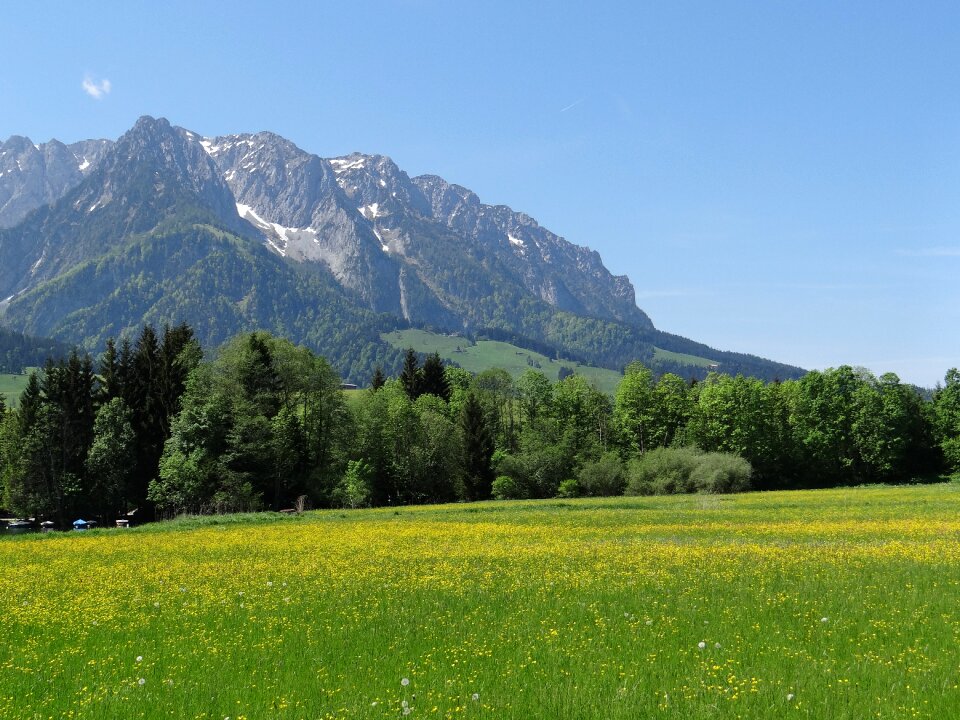 Zahmer kaiser snow spring meadow