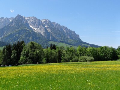 Zahmer kaiser snow spring meadow