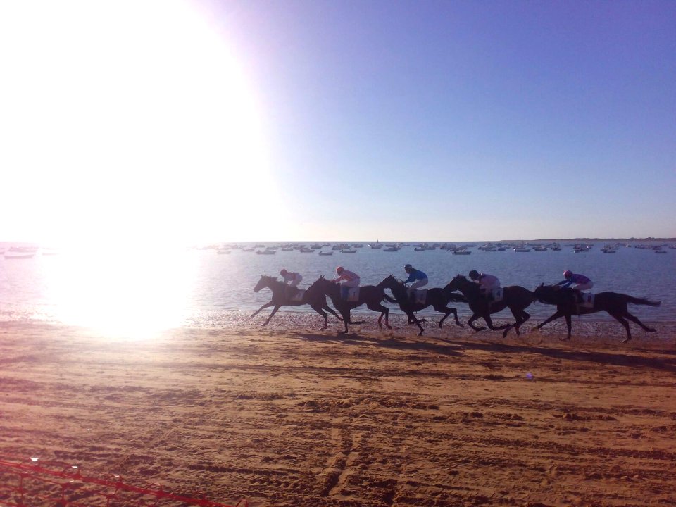 Carrera de Caballos