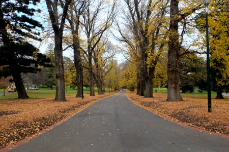 The Fitzroy Gardens in Autumn. photo