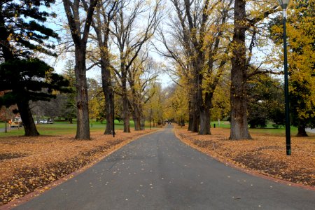 The Fitzroy Gardens in Autumn.